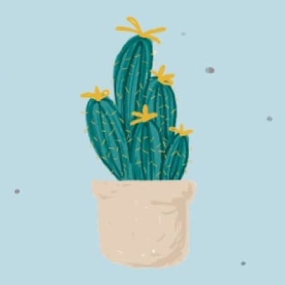 jiajiapw151677